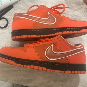 COPY - Orange Lobster Nike Sb Dunk